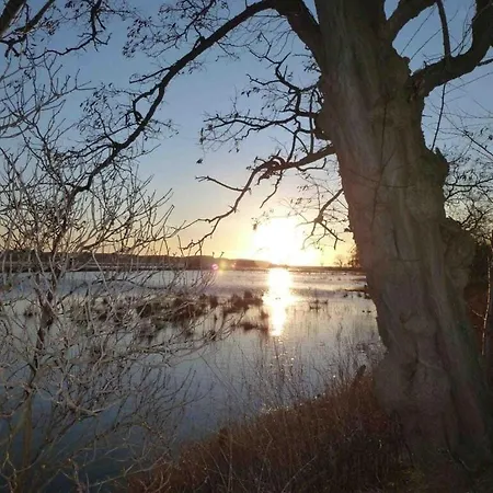 Retachhaus Am Bodden Eg Apartamento